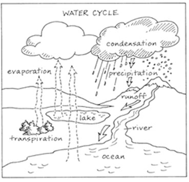 T-chart